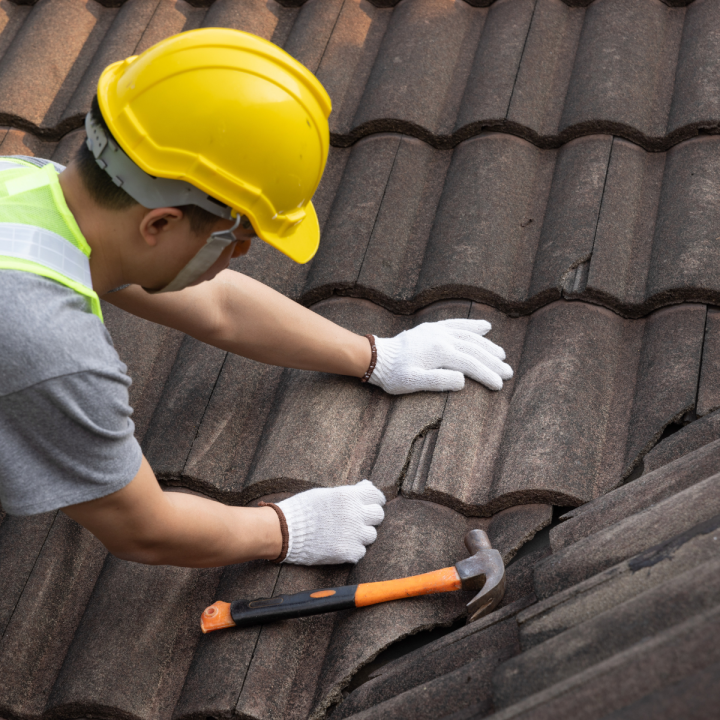 roof maintenance