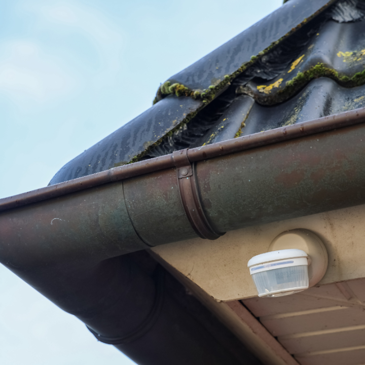 roofline